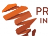 Princeton in Africa New Logo