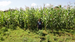 Ida in field of maize